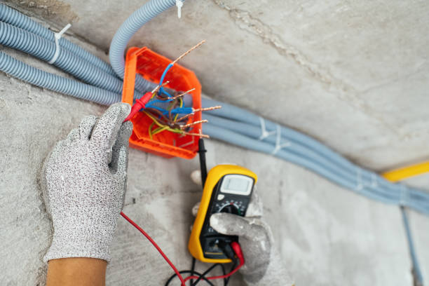 Best Electrical Repair Services  in Berkley, MI